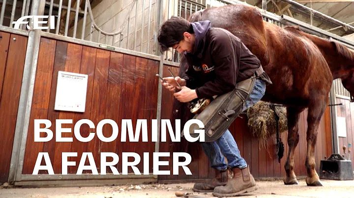 How to become a Farrier - The next generation of H...