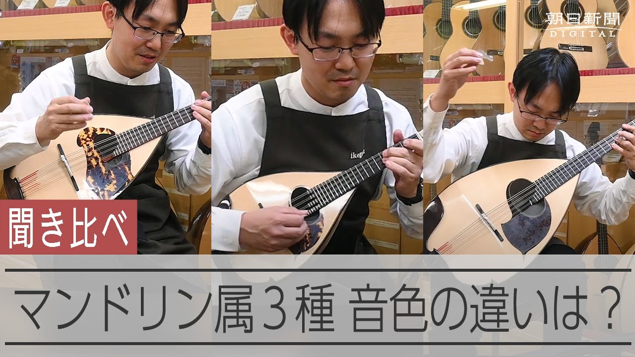 マンドリン、マンドラ、マンドロンチェロ 音色を聞き比べ - YouTube