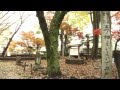 【東京・羽村】まいまいず井戸?!