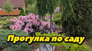 31 мая 2026 г. Обзор сада/ Последний день Весны на Севере Подмосковья 