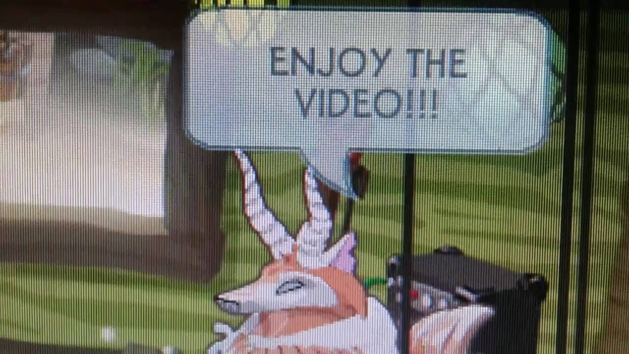 Free animal jam intros