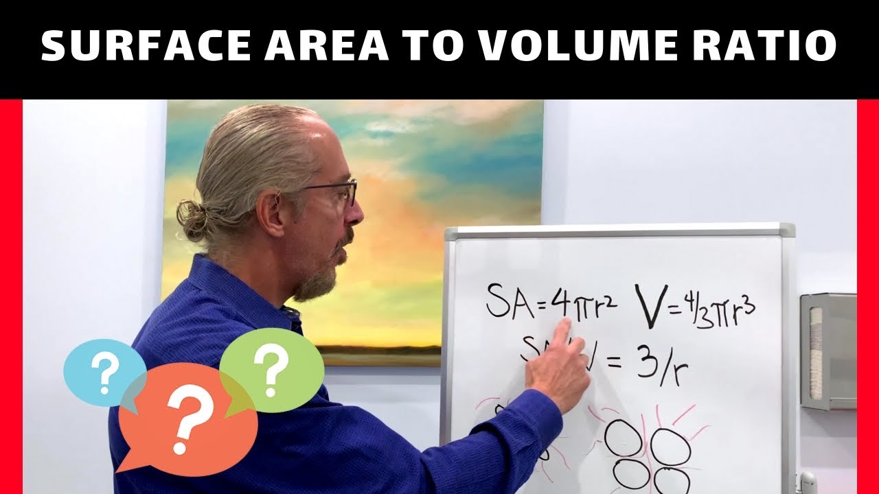 What's Surface Area To Volume Ratio & Why It's Important In Aesthetic Medicine: Steven F. Weiner, MD