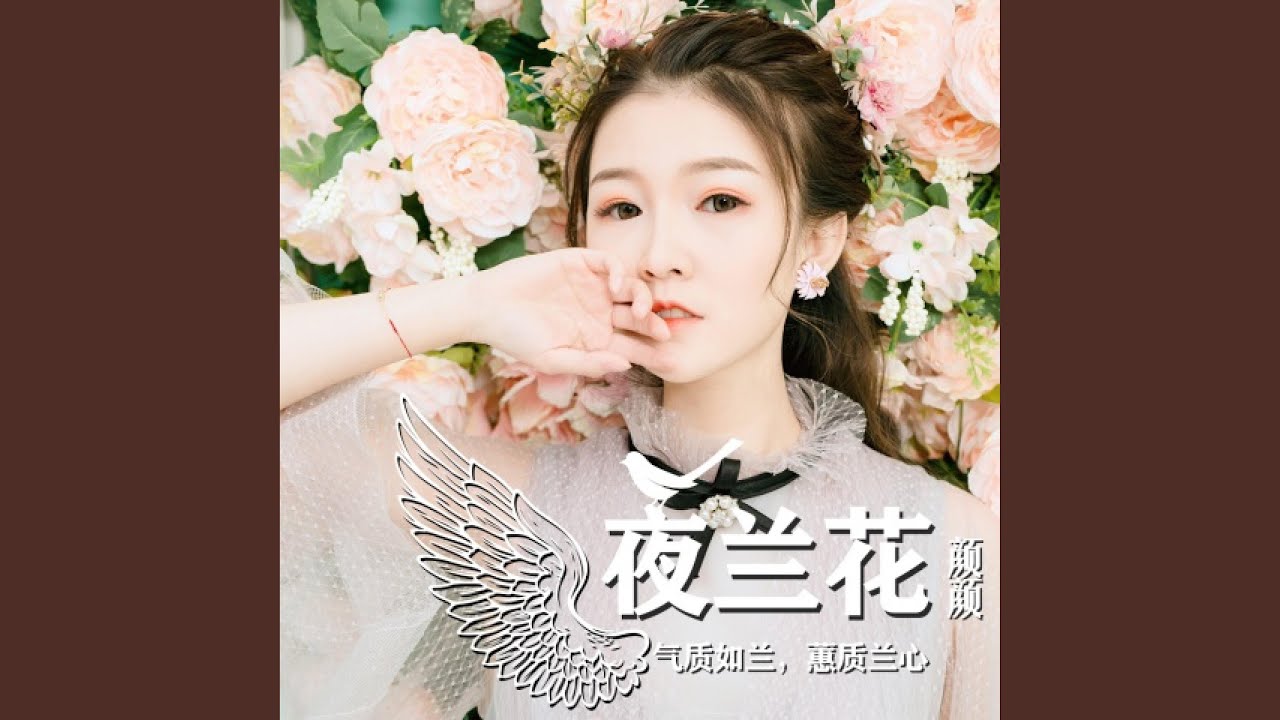 夜兰花 (伴奏版) - YouTube