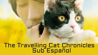 Cat Chronicles (Sub Español)