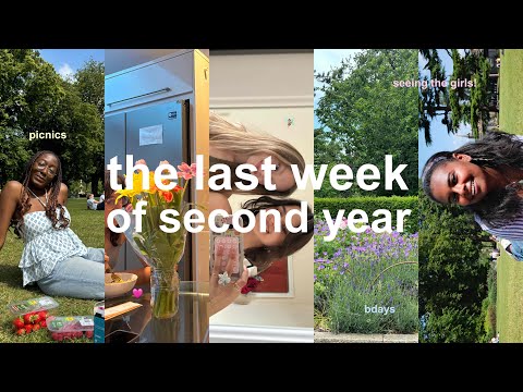 the last week of uni | second year