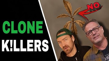 Stop Bringing Problems Into Your Grow (Do THIS with Every Clone)