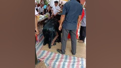 đám chay cho người làm thầy cúng đã khuất của dân tộc sán dìu