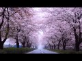 片想い　　　　　浜田省吾　　　　カラオケ