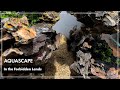 [モンスターハンターワイルズ] 禁足地 隔ての砂原を作る　/アクアリウム/aquarium/aquascape/30cm/MONSTER HUNTER WILDS/