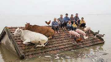 Toàn Cảnh Lũ Lụt: Dòng Nước Mạnh Bất Ngờ Cuốn Trôi Nhà Cửa Chỉ Trong Vài Phút