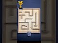 #maze #cup #championsleague #centipede #bombardierbeetle #shorts