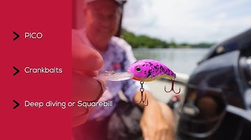 PICO Lures INT & Squarebill crankbaits in splatterback color patterns are hot right now for fishing