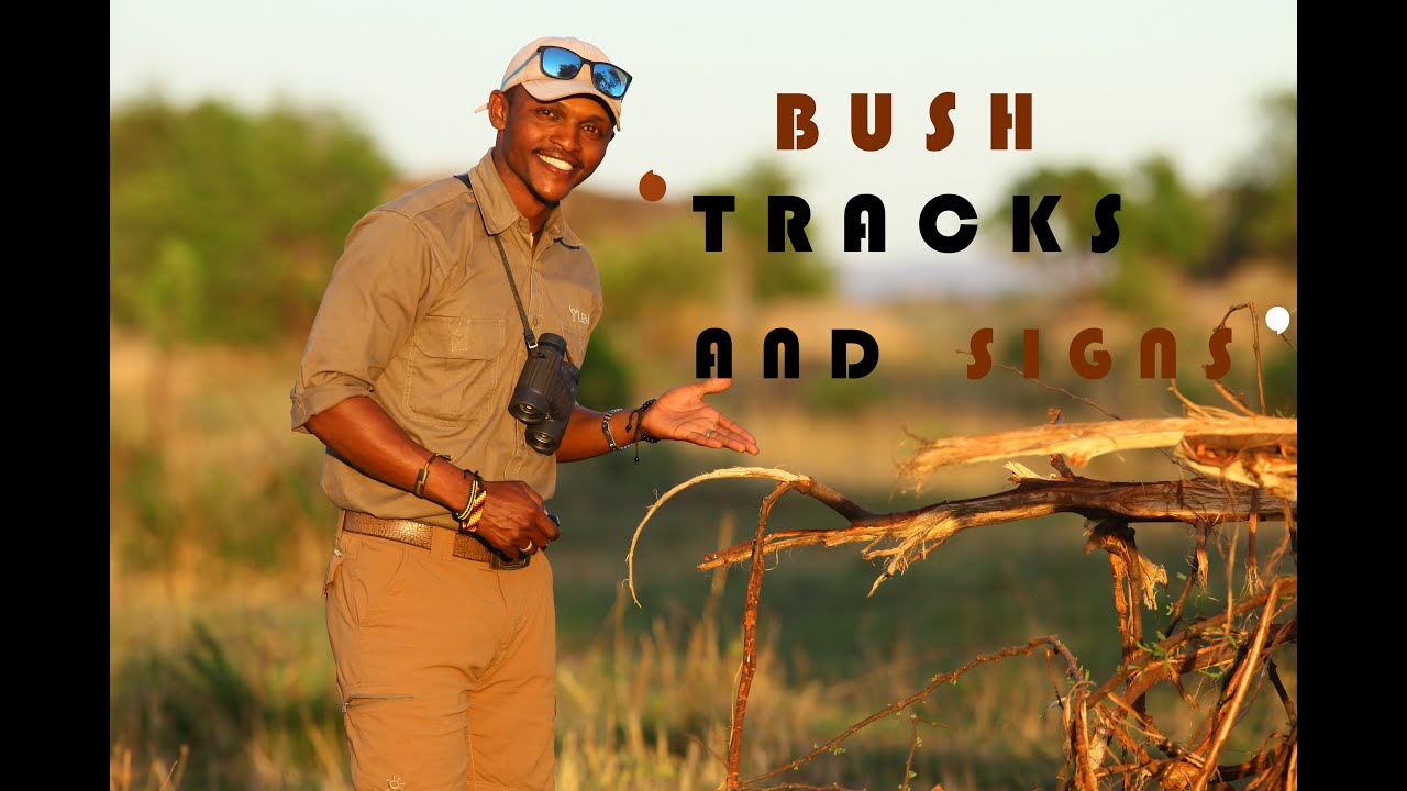 TRACKS AND SIGNS ( 1 )