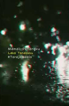 Story Wa Lagu Toraja||Mamali Penangku||NT STORY 015