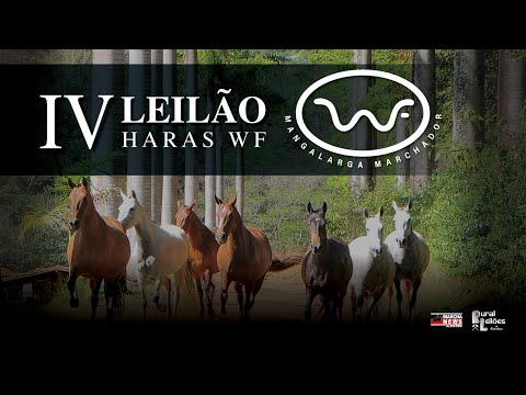 IV LEILÃO HARAS WF