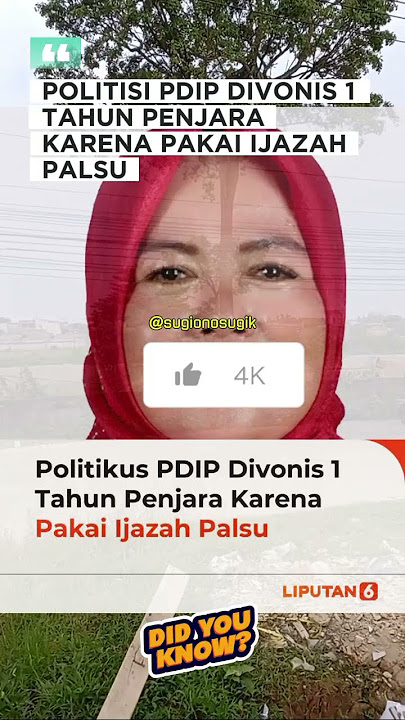PDIP Politician