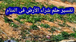 تفسير رؤية شراء قطعة أرض في المنام