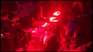 Seen Live - May 2024