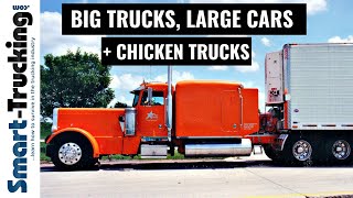 Big Trucks, Large Cars + Chicken Trucks (From the Glory Days of Trucking!)