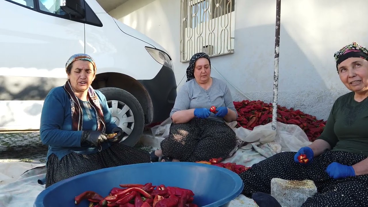Salçalık Biber Temizliği. Bayanlar Yardımlaşarak Biber Temizliyor. Mahalle Dayanışması