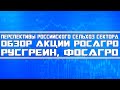 Обзор акций Росагро, Русгрейн и Фосагро. А так же перспективы сельхозсектора России