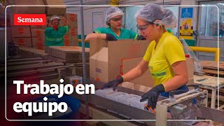 “Un buen lugar para trabajar”: la apuesta de Papeles Nacionales para inspirar a sus empleados