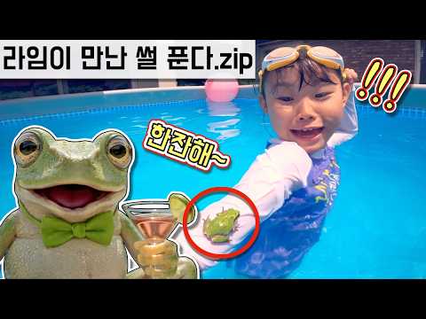 라임이 만난 <strong>썰</strong> 푼다 😆 이건 개구리 입장도 들어봐야지ㅋㅋ | 로블록스 실사판 <strong>수영장</strong> roblox in real life 라임튜브 모음영상 LimeTube