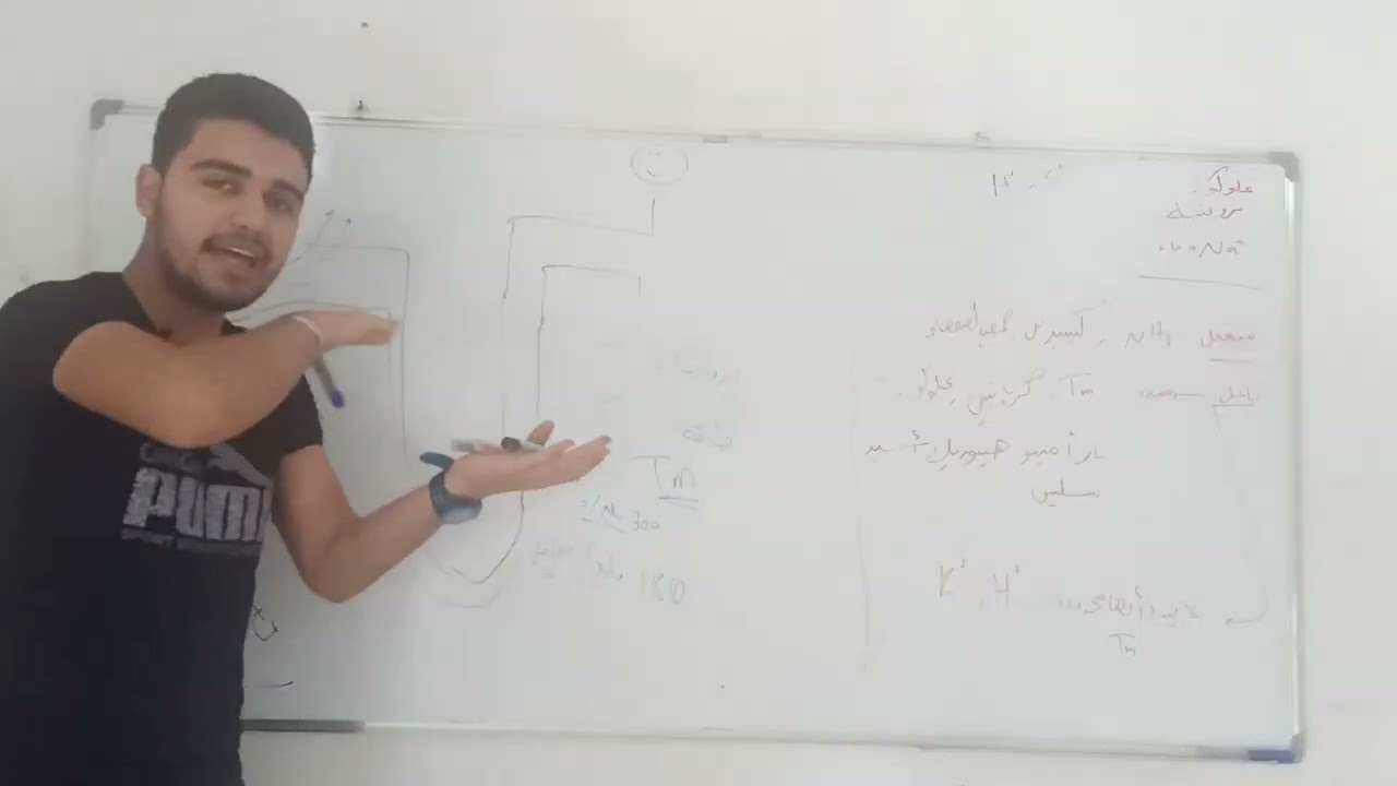 إنهاء الفصل الثامن إعادة الامتصاص و الإفراز فيزيولوجيا تحضيرية|| عمار علي