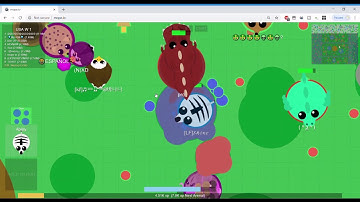 Mopeio Epic Zebra Kills