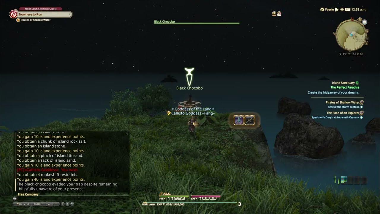 Island Sanctuary catching rare animal (Black Chocobo) in Final Fantasy