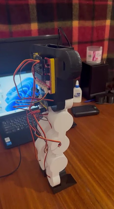 Homemade Robot Project