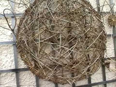 Willow Weaving