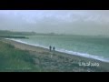 بين عامين خالد الطريري 