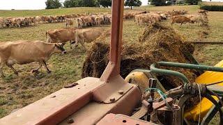 Feeding Out More Silage Bales, Have I Budgeted Enough? Calf Feeder For Water Tanker...Great Idea!!