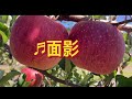 城めぐみさん ♬面影カラオケversion