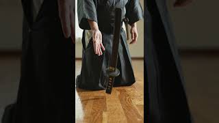 The fight is over.” #animeedit#cinematic#aivideo #viral#fyp#ytshorts #swordandshield