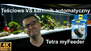 Teściowa VS Karmnik automatyczny Tetra MyFeeder. Mother-in-law VS Tetra MyFeeder automatic feeder