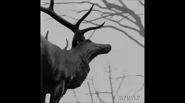 Agalloch - The Hawthorne Passage