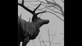 Agalloch - The Hawthorne Passage