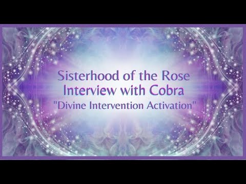 Sisterhood of the Rose Interview with Cobra: “Divine Intervention Activation”