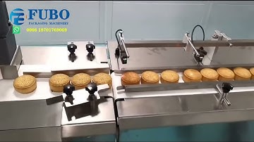 Moon cakes flow wrapping packing machinery | horizontal pillow pouch packaging machine