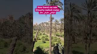 Egyptian Arabic weather