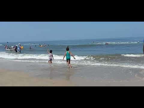 الكراسة الصفراء على البحر ومين بيعمل زى كدة