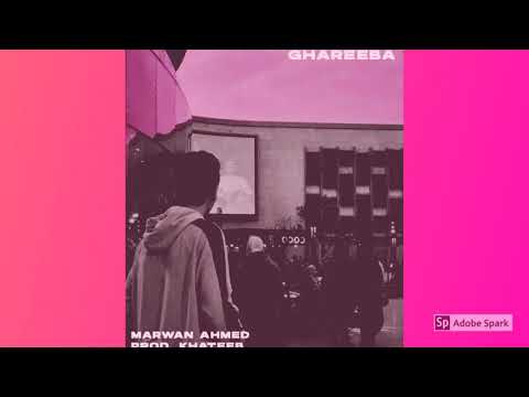    غريبه مروان احمد     