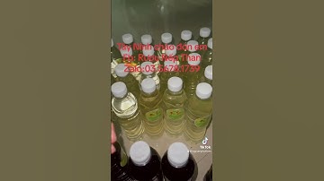 Rượu nếp than nguyên chất, rượu quê, cách làm rượu nếp than, nếp Cẩm, nếp than ư lên men