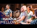 Mayapuris  mayapur mellows  18th february 2024