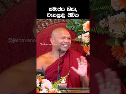 සමාජය නිසා, වැනසුණු ජීවිත