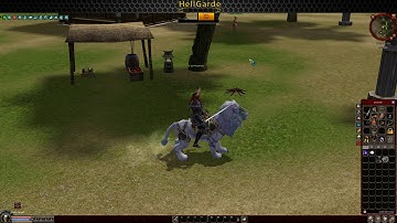 Prezentare Metin2 HellGarde (VECHI)