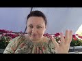 Сила Радости. Юмор. Ресурсные состояния