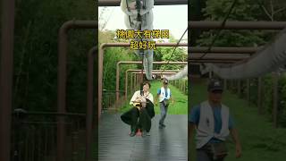 大朋友限定！賞梯田還可以飆速度！
